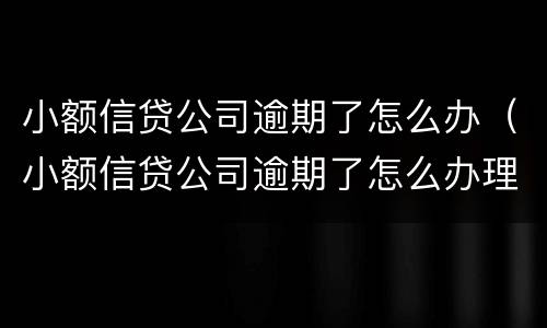 小额信贷公司逾期了怎么办（小额信贷公司逾期了怎么办理）