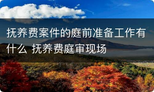 抚养费案件的庭前准备工作有什么 抚养费庭审现场