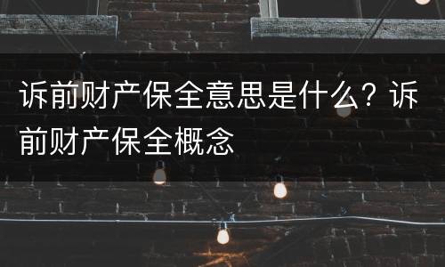 诉前财产保全意思是什么? 诉前财产保全概念