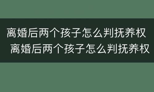离婚后两个孩子怎么判抚养权 离婚后两个孩子怎么判抚养权的