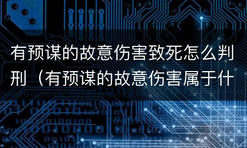 有预谋的故意伤害致死怎么判刑（有预谋的故意伤害属于什么案件）