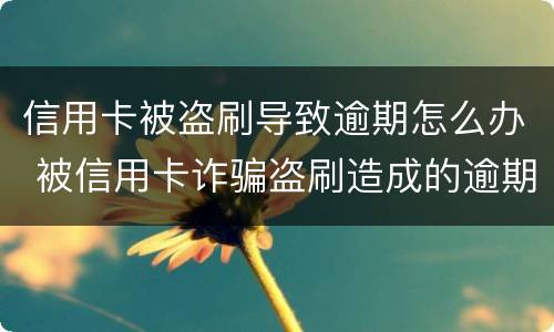 信用卡被盗刷导致逾期怎么办 被信用卡诈骗盗刷造成的逾期