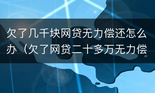 欠了几千块网贷无力偿还怎么办（欠了网贷二十多万无力偿还怎么解决）