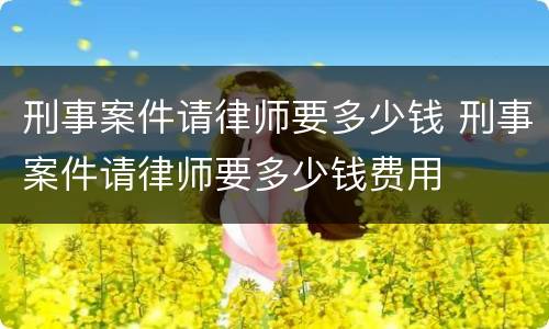 刑事案件请律师要多少钱 刑事案件请律师要多少钱费用
