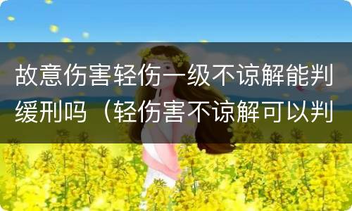 故意伤害轻伤一级不谅解能判缓刑吗（轻伤害不谅解可以判缓刑吗）