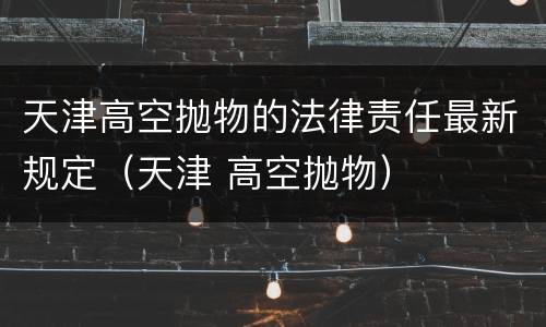 天津高空抛物的法律责任最新规定（天津 高空抛物）