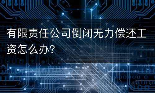 有限责任公司倒闭无力偿还工资怎么办？