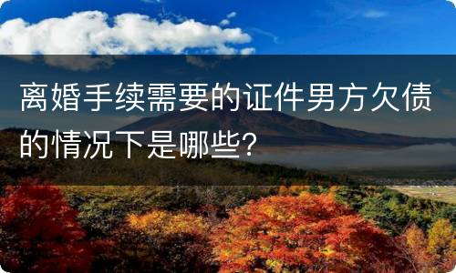 离婚手续需要的证件男方欠债的情况下是哪些？