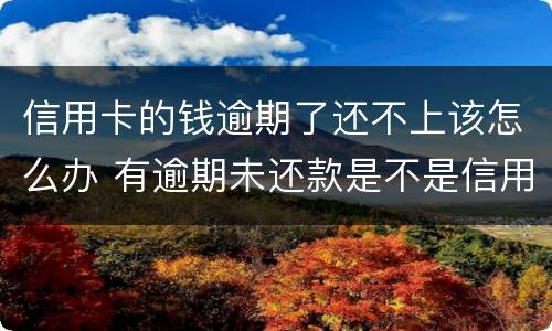 信用卡的钱逾期了还不上该怎么办 有逾期未还款是不是信用卡办不了