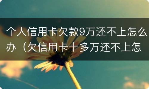 个人信用卡欠款9万还不上怎么办（欠信用卡十多万还不上怎么办）