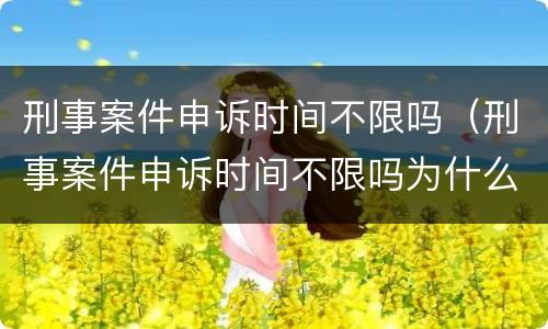 刑事案件申诉时间不限吗（刑事案件申诉时间不限吗为什么）