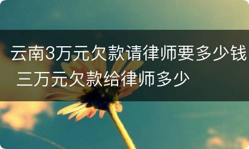 云南3万元欠款请律师要多少钱 三万元欠款给律师多少