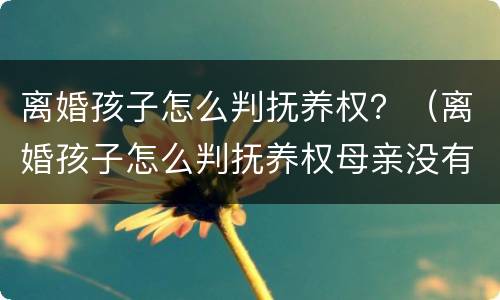 离婚孩子怎么判抚养权？（离婚孩子怎么判抚养权母亲没有工作）