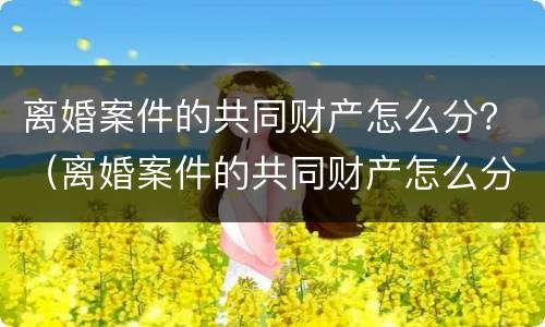 离婚案件的共同财产怎么分？（离婚案件的共同财产怎么分的）