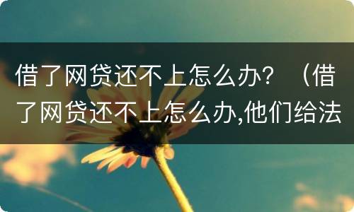 借了网贷还不上怎么办？（借了网贷还不上怎么办,他们给法院传票）