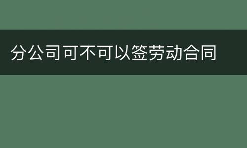 分公司可不可以签劳动合同