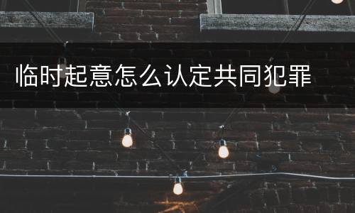 临时起意怎么认定共同犯罪