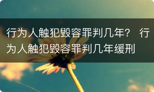 行为人触犯毁容罪判几年？ 行为人触犯毁容罪判几年缓刑