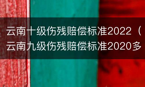 云南十级伤残赔偿标准2022（云南九级伤残赔偿标准2020多少钱大概）