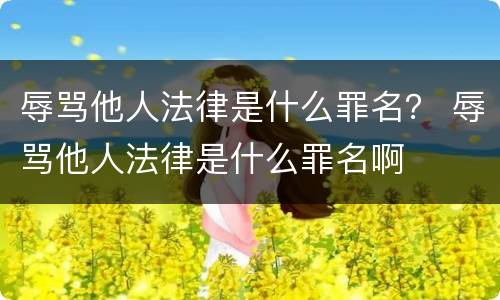 辱骂他人法律是什么罪名？ 辱骂他人法律是什么罪名啊