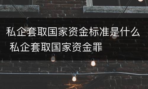 私企套取国家资金标准是什么 私企套取国家资金罪