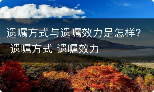 遗嘱方式与遗嘱效力是怎样？ 遗嘱方式 遗嘱效力