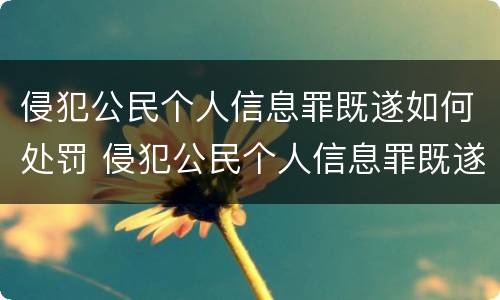 侵犯公民个人信息罪既遂如何处罚 侵犯公民个人信息罪既遂如何处罚