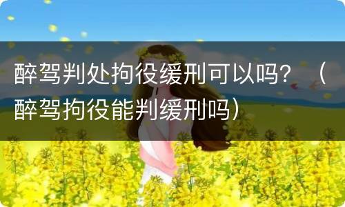 醉驾判处拘役缓刑可以吗？（醉驾拘役能判缓刑吗）