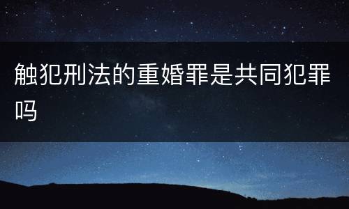 触犯刑法的重婚罪是共同犯罪吗