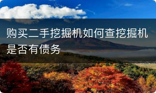 购买二手挖掘机如何查挖掘机是否有债务