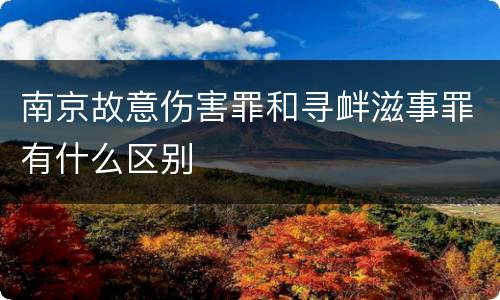 南京故意伤害罪和寻衅滋事罪有什么区别