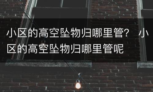 小区的高空坠物归哪里管？ 小区的高空坠物归哪里管呢