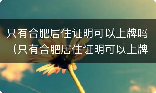 只有合肥居住证明可以上牌吗（只有合肥居住证明可以上牌吗要多少钱）