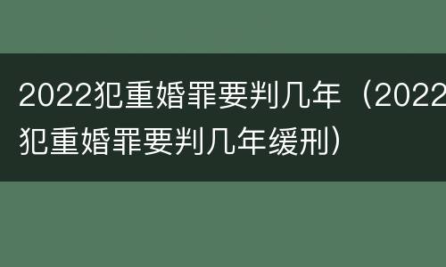 2022犯重婚罪要判几年（2022犯重婚罪要判几年缓刑）