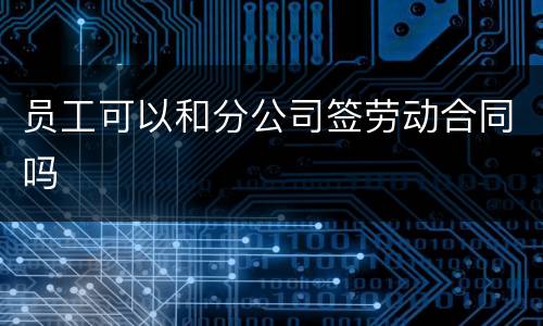 员工可以和分公司签劳动合同吗