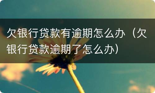 欠银行贷款有逾期怎么办（欠银行贷款逾期了怎么办）