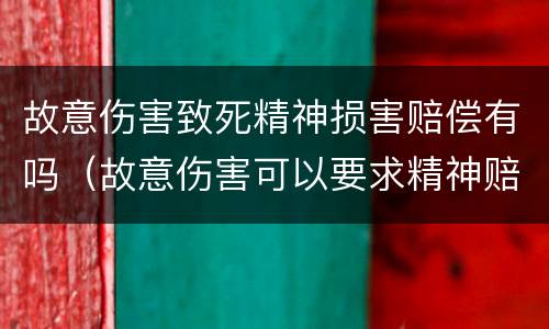 故意伤害致死精神损害赔偿有吗（故意伤害可以要求精神赔偿吗）