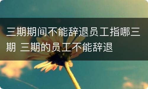 三期期间不能辞退员工指哪三期 三期的员工不能辞退