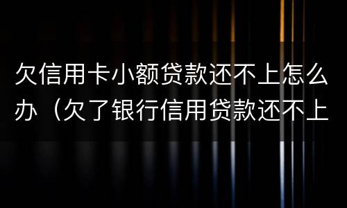 欠信用卡小额贷款还不上怎么办（欠了银行信用贷款还不上怎么办）