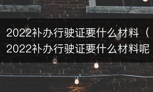 2022补办行驶证要什么材料（2022补办行驶证要什么材料呢）