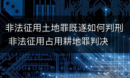 非法征用土地罪既遂如何判刑 非法征用占用耕地罪判决