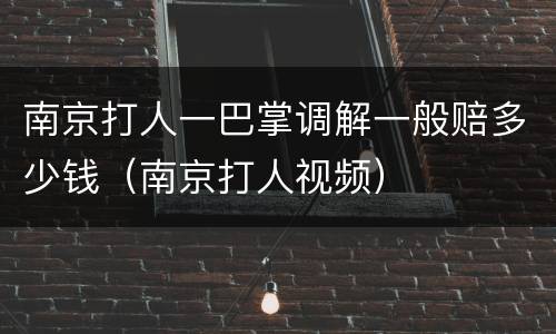 南京打人一巴掌调解一般赔多少钱（南京打人视频）