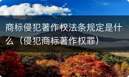 商标侵犯著作权法条规定是什么（侵犯商标著作权罪）