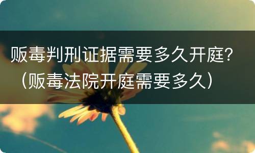 贩毒判刑证据需要多久开庭？（贩毒法院开庭需要多久）