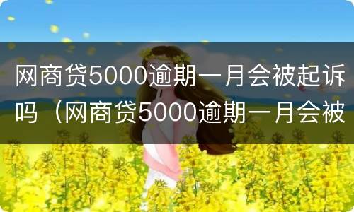 网商贷5000逾期一月会被起诉吗（网商贷5000逾期一月会被起诉吗怎么办）