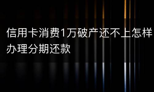 信用卡消费1万破产还不上怎样办理分期还款