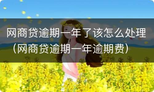 网商贷逾期一年了该怎么处理（网商贷逾期一年逾期费）