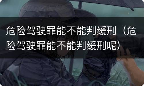 危险驾驶罪能不能判缓刑（危险驾驶罪能不能判缓刑呢）
