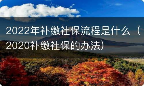 2022年补缴社保流程是什么（2020补缴社保的办法）