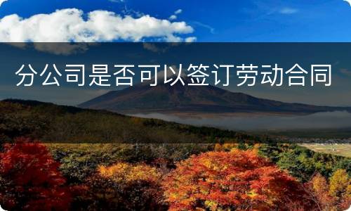 分公司是否可以签订劳动合同